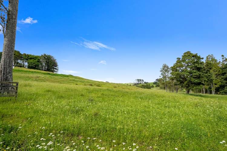 Lot 3 Prictor Rd Wellsford_16