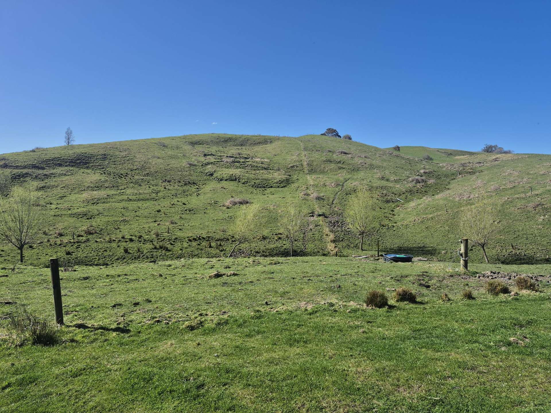 91 Tiffen Lane Waipawa_0