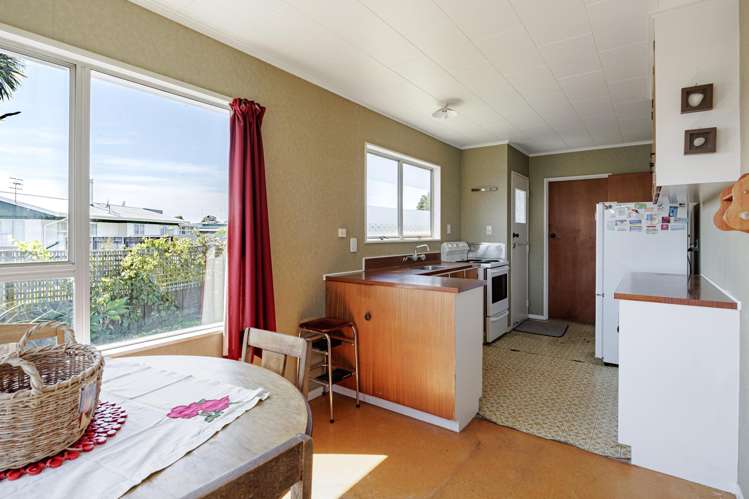 19 Sutherland Street Tamatea_1