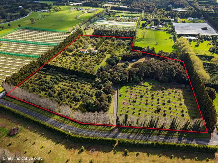 131 Tatton Road Maungatapere_20