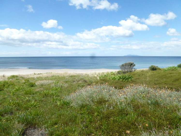 34 Fishermans Bend Whiritoa_21