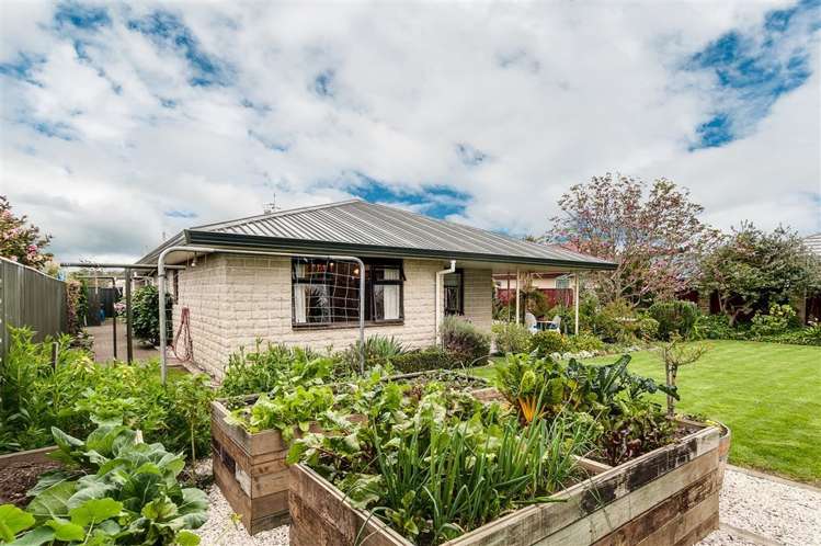 151 Auckland Road Greenmeadows_20