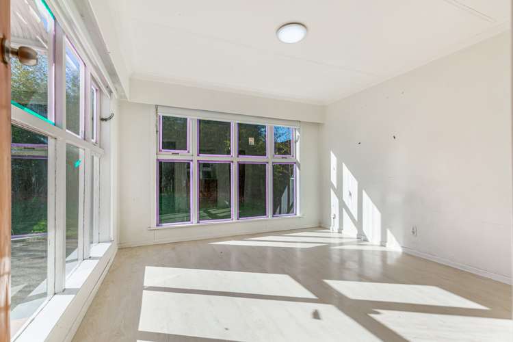 157 Hillsborough Road Hillsborough_12