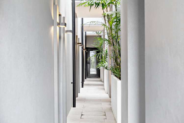 11a Scanlan Street Grey Lynn_18