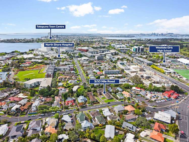 3/10 Nile Road Milford_15