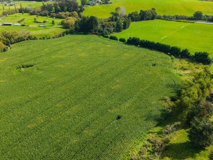 Coonoor Road Watlington_9