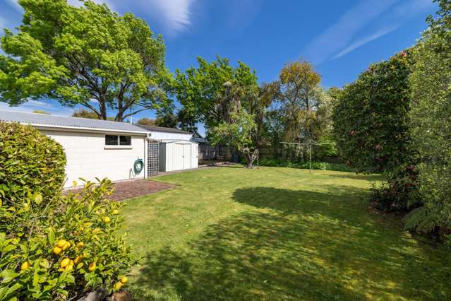 13 Conway Street Somerfield_3