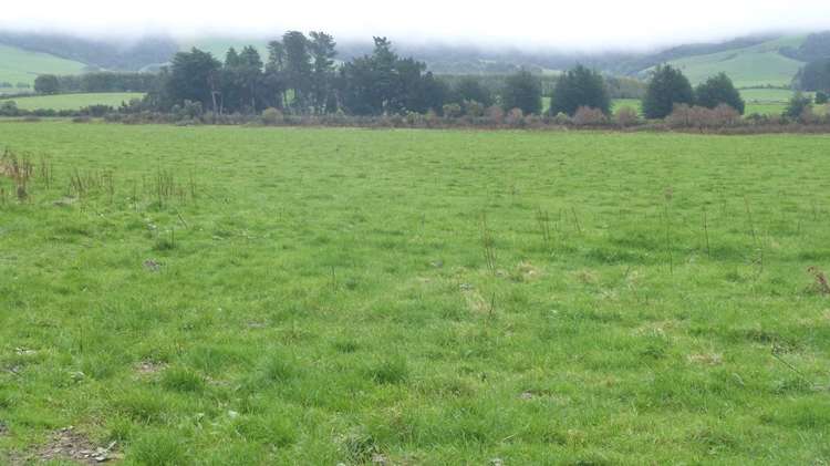 44 Rodgers Road Catlins Surrounds_37