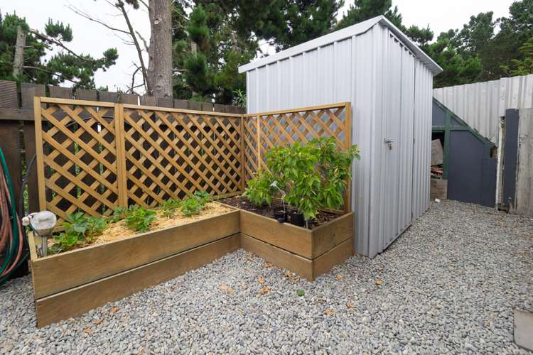 8 Hakatere Drive Wakanui_5