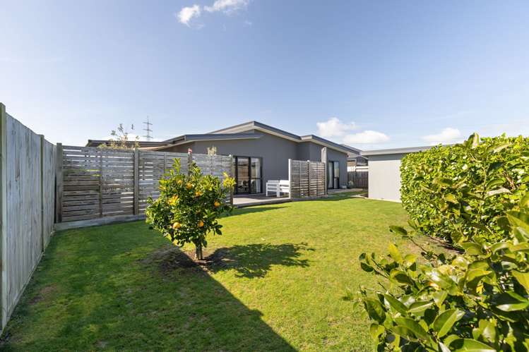33 Sardinia Grove Fitzherbert_8