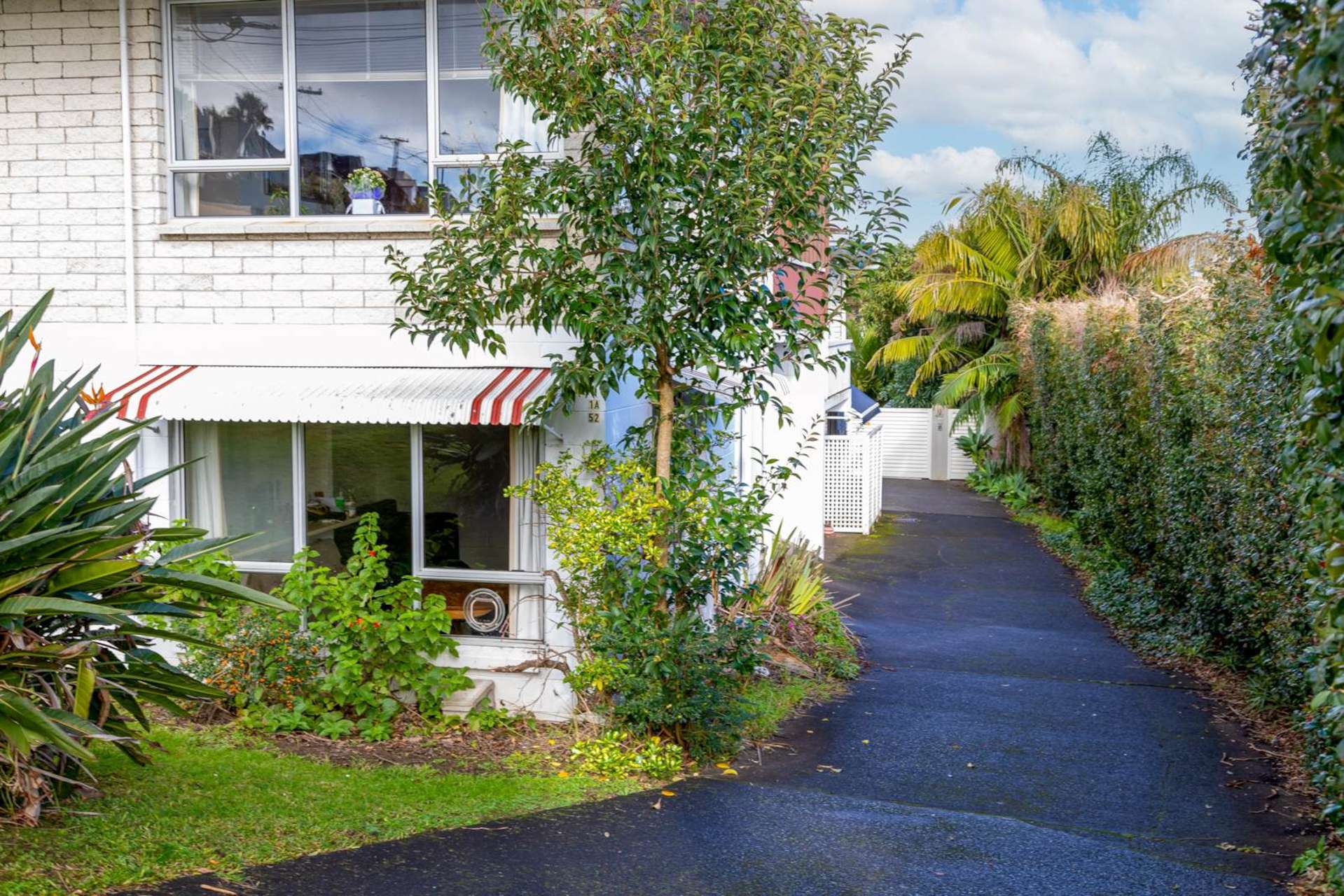 1/52 Tarawera Terrace Saint Heliers_0