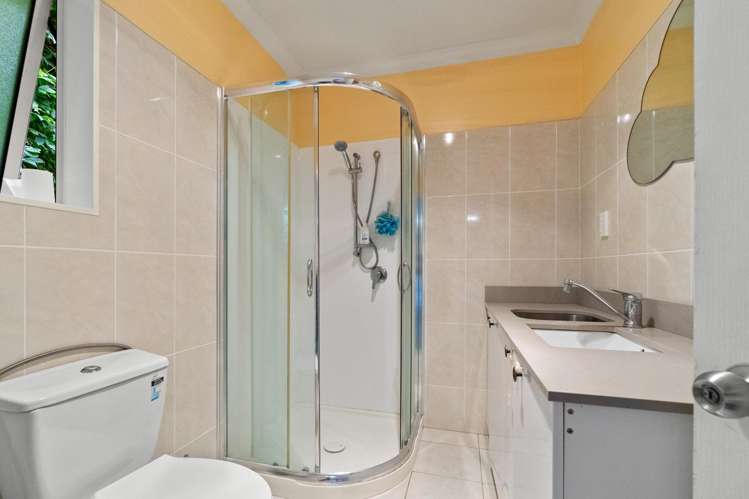 16 Burnett Avenue Mount Roskill_10