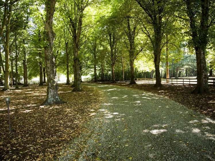 414 Four Peaks Road Geraldine_17