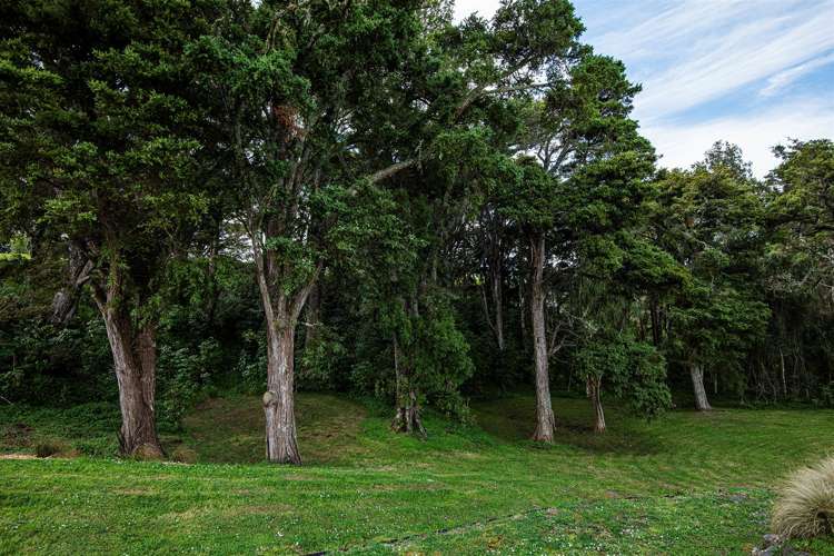 221 Mountain Road Maungaturoto_28