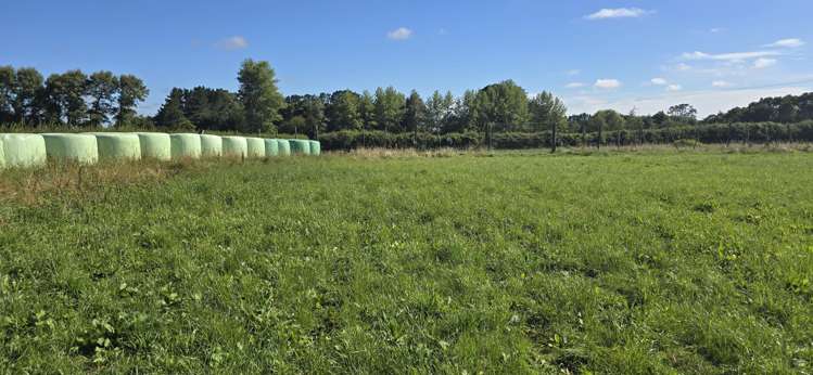 103 East Road Stratford_12