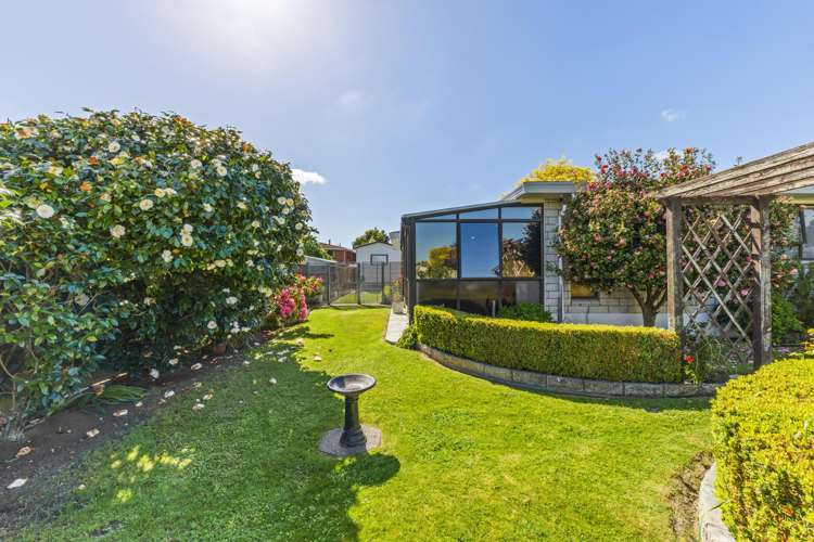 217 Weld Street Witherlea_20