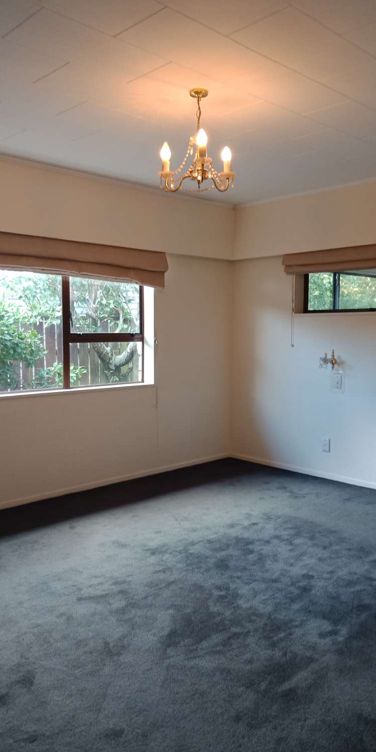 33 Wallace Street Featherston_8