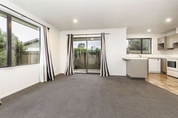 7d Oudenarde Street Renwick_8