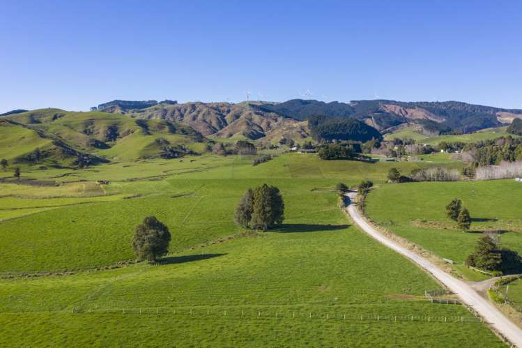 9A Pond Road Raglan_30