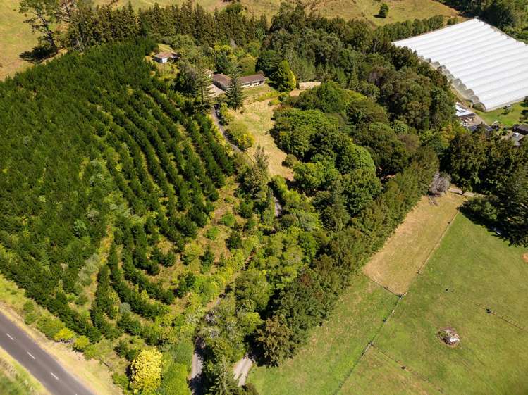 236 Willoughby Road Tahawai_14