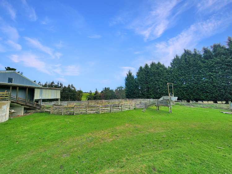 267 (Farm) Wehenga Road Hindon_2