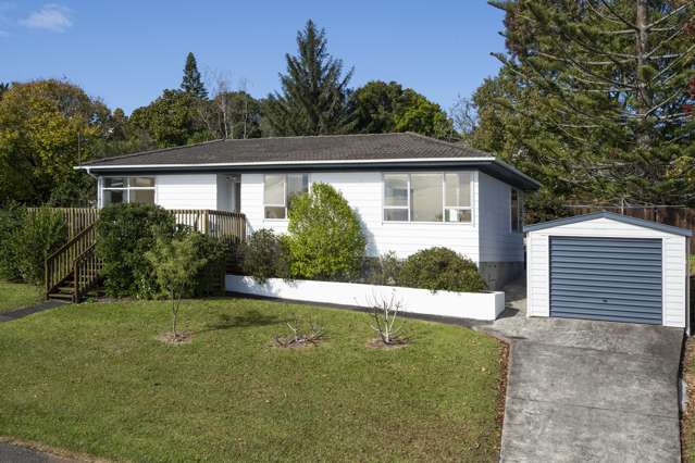 3 Terra Nova Street Glen Eden_1