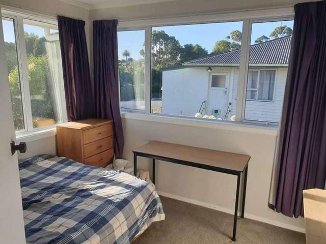 3 Westland Road Tuakau_2