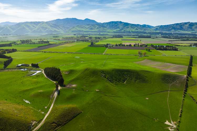 Marama Road Seddon_6