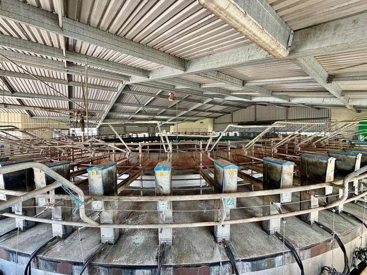 331 Simpson Road Ruawai_5