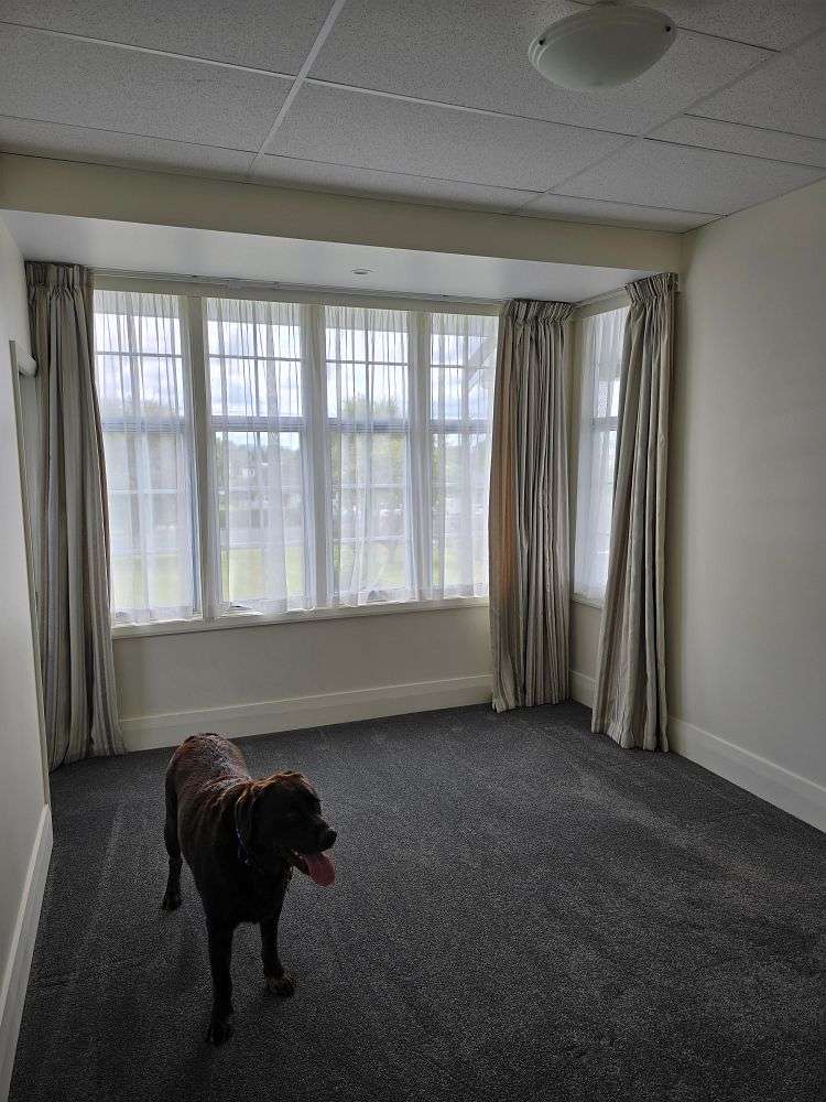 25 Marchant Street Putaruru_18