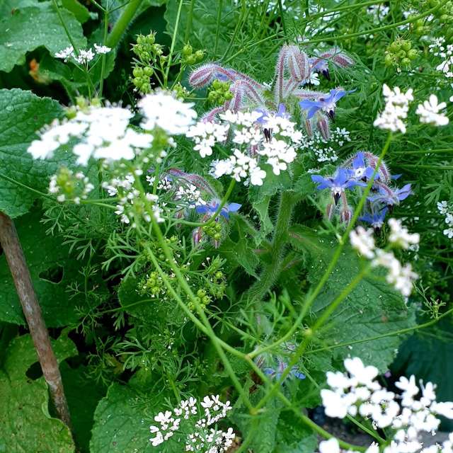 128 Waimea Road Nelson South_3