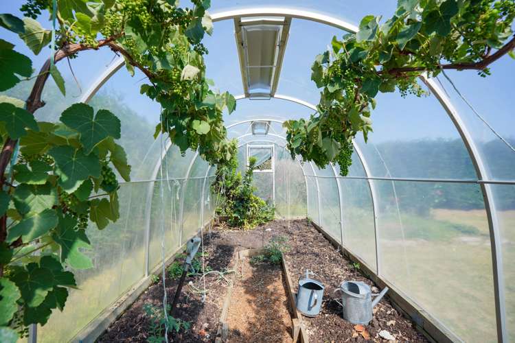 1602-1610 Tokanui Gorge Hwy Fortrose_21