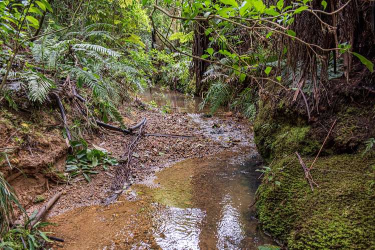 1242 Russell Road Helena Bay_26