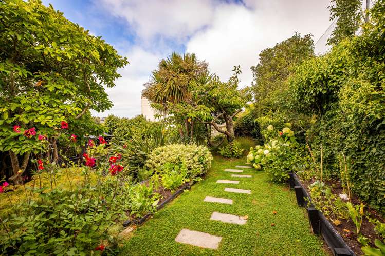 150 Douglas Street Highfield_45