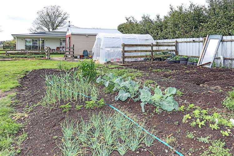 1096 Ashcott Road Rangitikei Surrounds_10