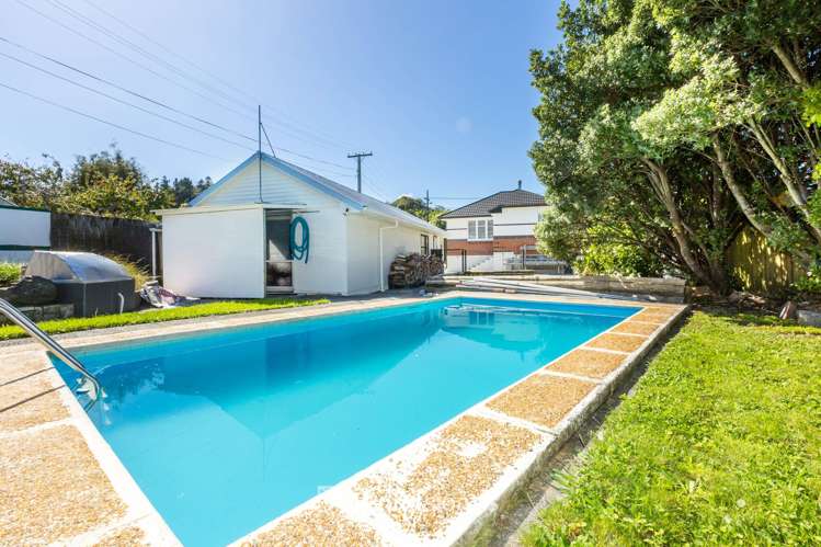 21 Akatarawa Road Brown Owl_17