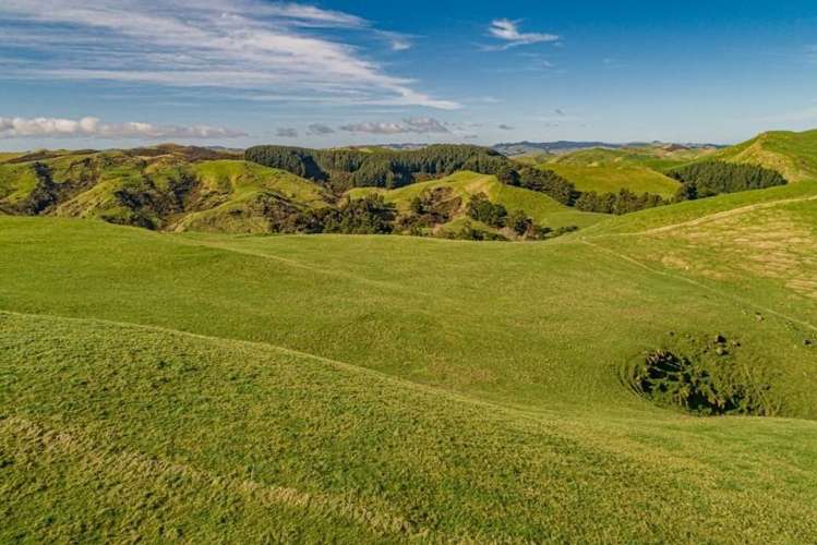 134 Bowen Road Eketahuna_9