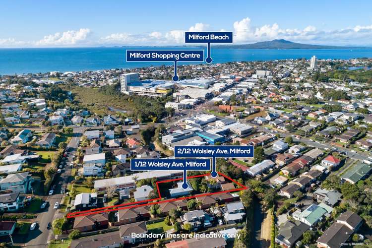 2/12 Wolsley Avenue Milford_17