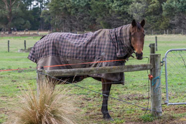 231 Carters Road Amberley_9