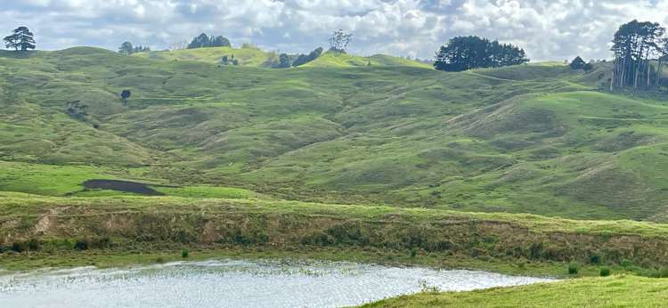 426 Mangarata Block Road Arapohue_22