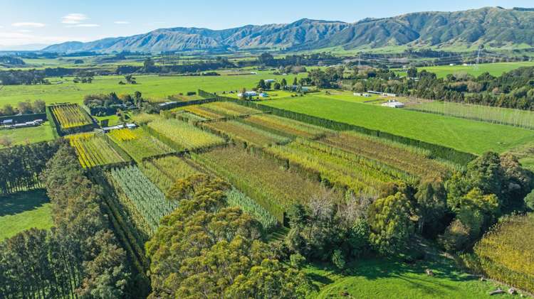 96 Engles Road Shannon_24