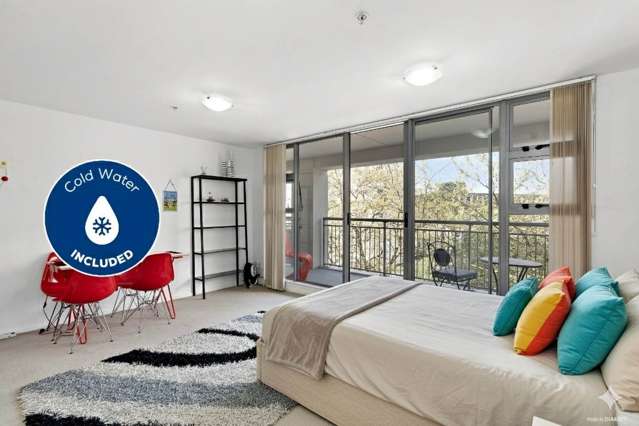 Spacious Studio on Parliament