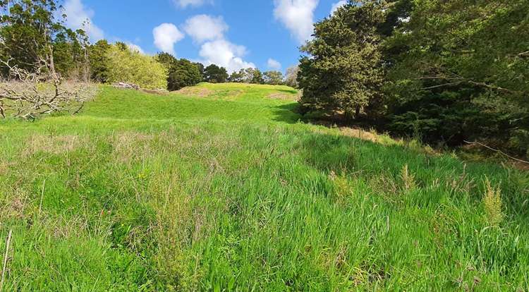 581 Valley Road Kaiwaka_12