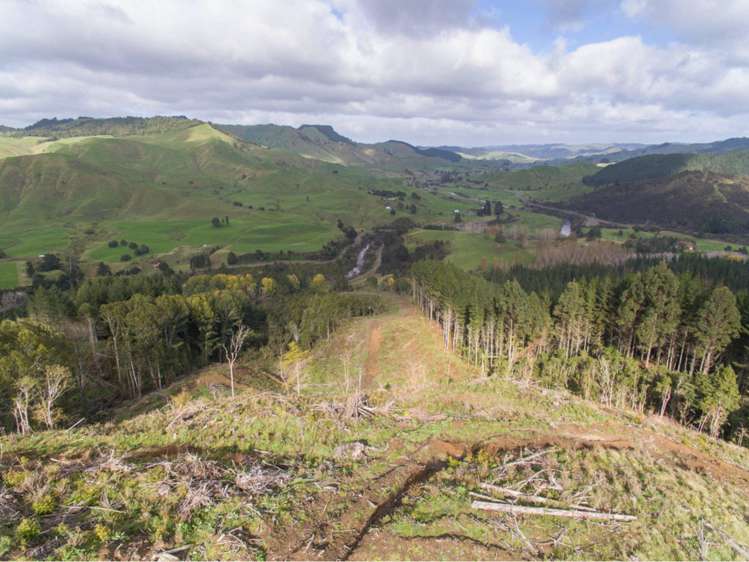 15 State Highway 49 Ohakune_17