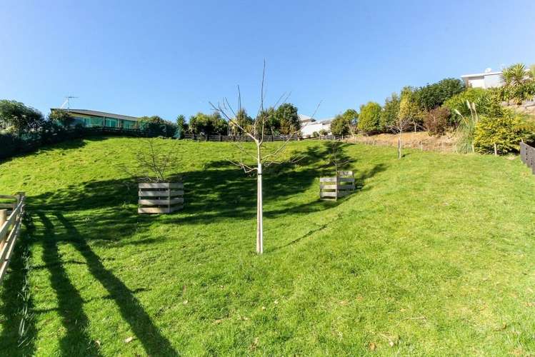 61c Karamea Street Whalers Gate_14