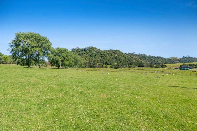 299 Haruru Road Kaukapakapa_18