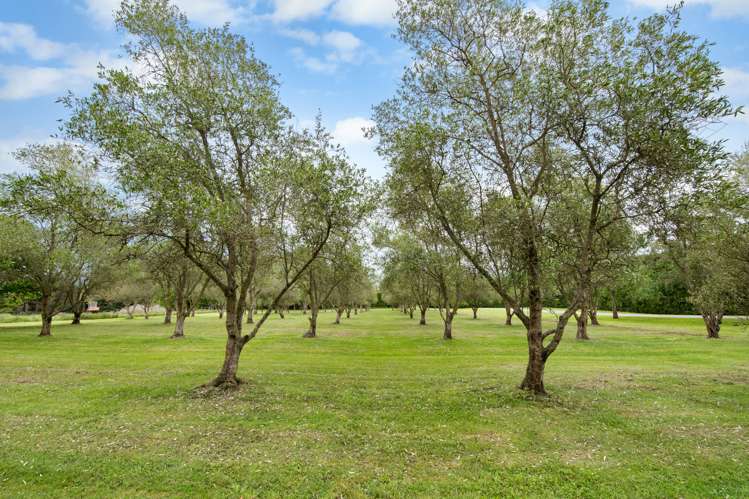 874 Sandy Knolls Road West Melton_26