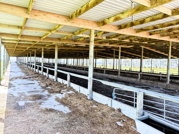 331 Simpson Road Ruawai_7