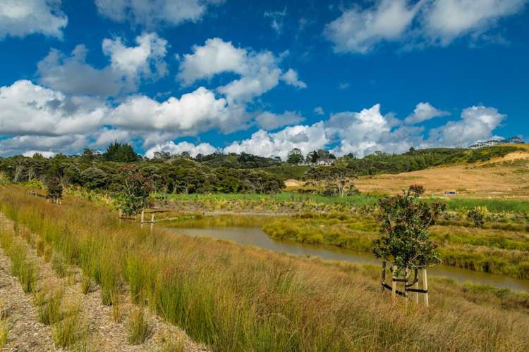 5 Bight Road Long Bay_11