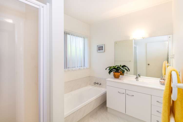 19 Palmbrook Avenue Havelock North_13